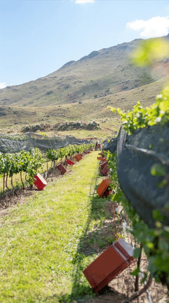 Alma Minera Malbec Roble 2021