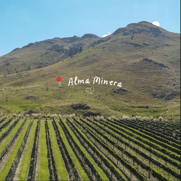 Alma Minera Malbec Artesanal 2021