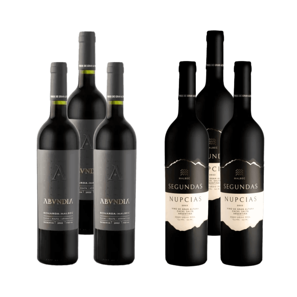 Selección Nueve Cumbres - Altura Extrema