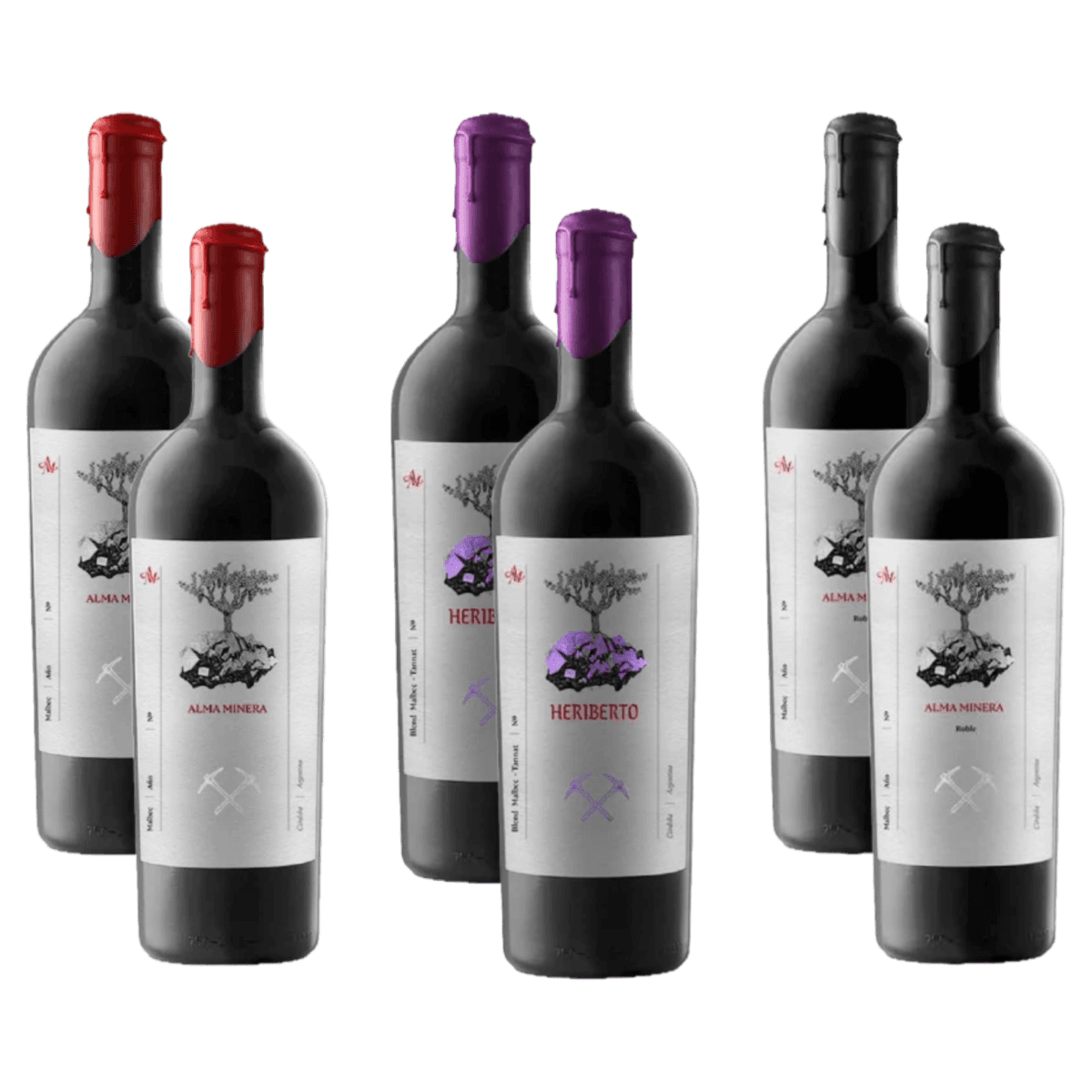 Selección Alma Minera