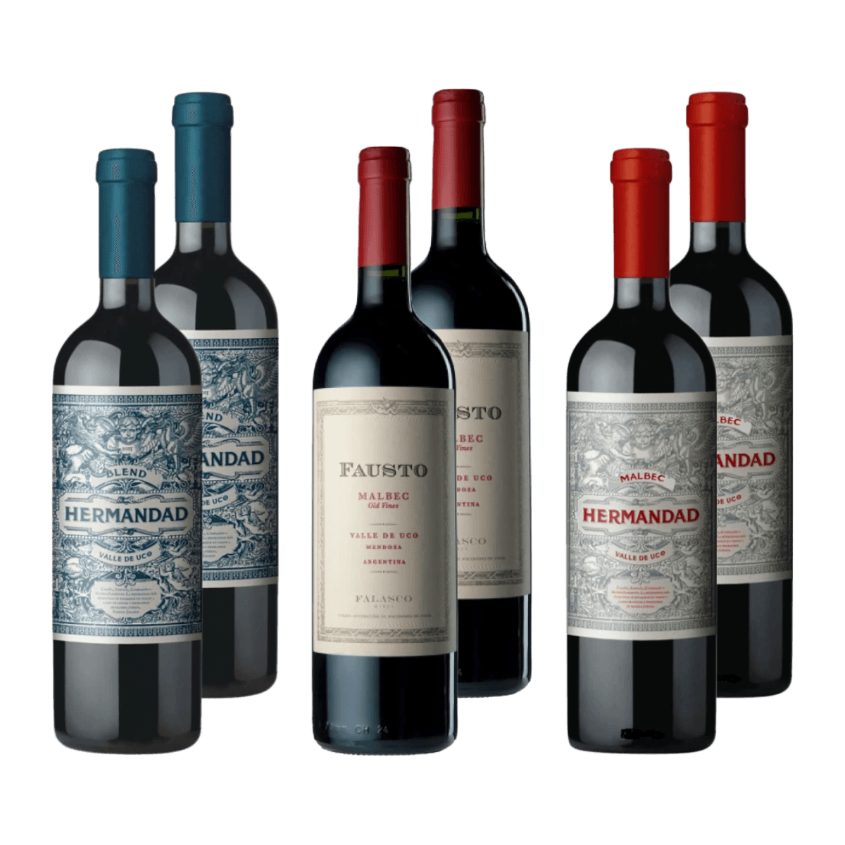 Selección Familia Falasco