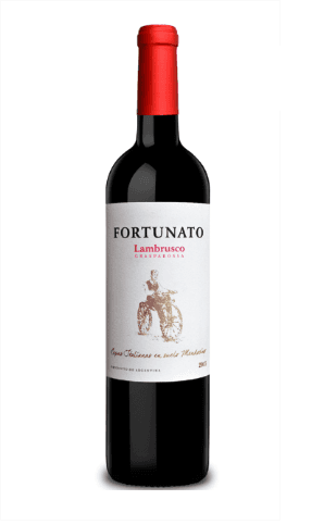 Fortunato Lambrusco Grasparossa Cosecha 2018