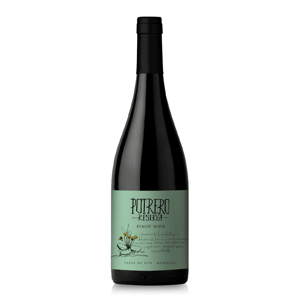 Reserva de Potrero Pinot Noir 2022