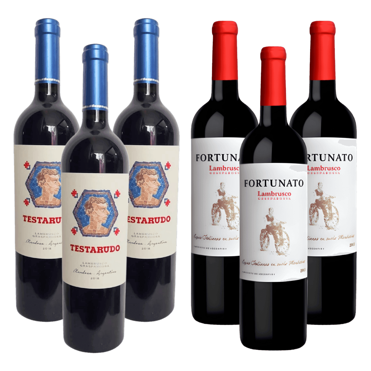 Selección Lambrusco Grasparossa 2018