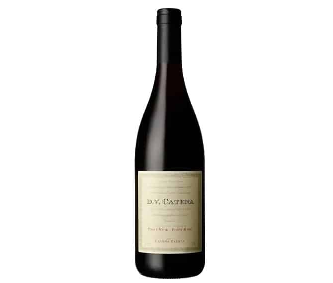 DV Catena Pinot Noir - Pinot Noir