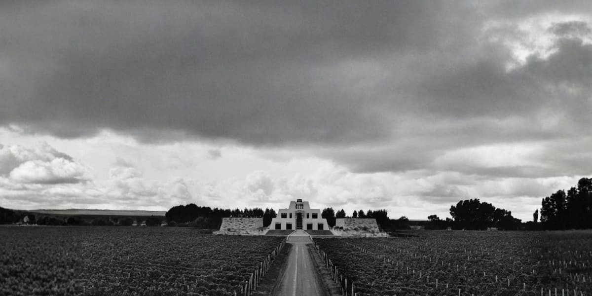 El legado enológico más buscado