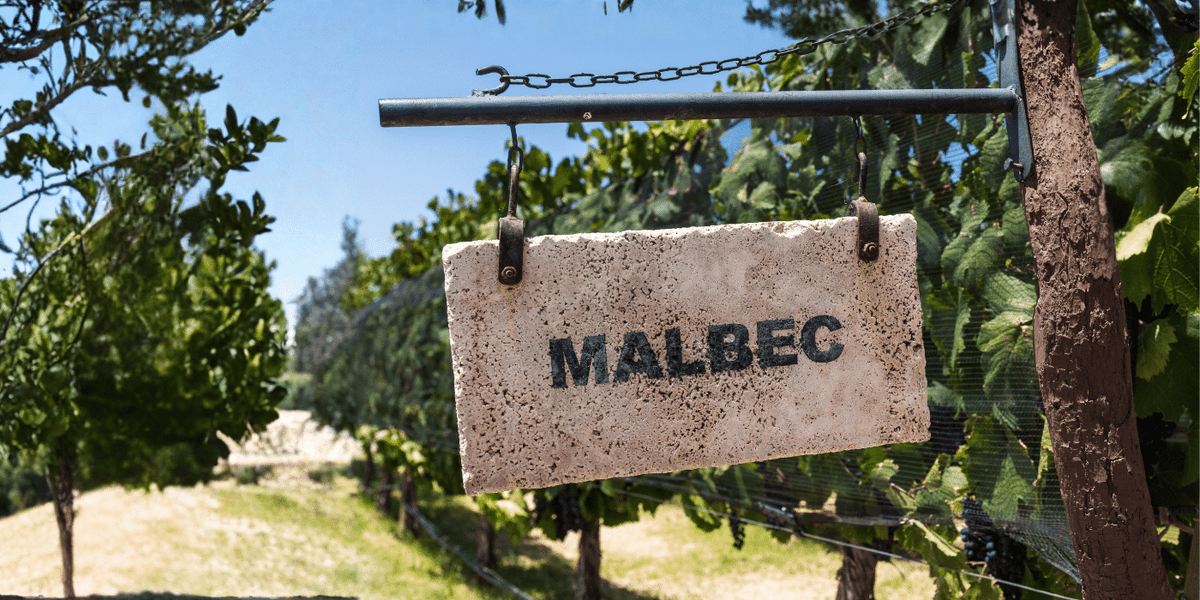 LA SEMANA SE TIÑE DE MALBEC