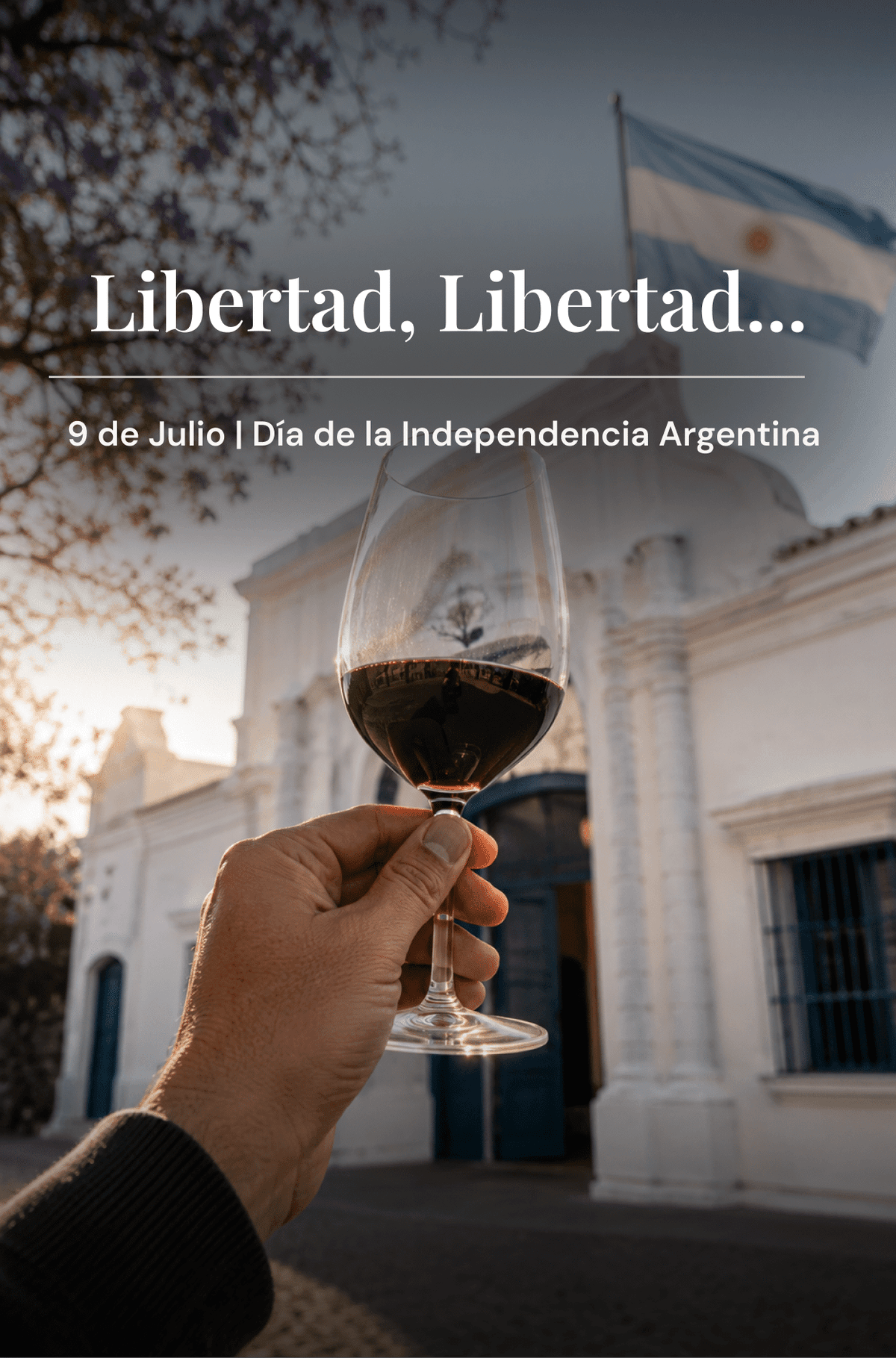dia-de-la-independencia-argentina