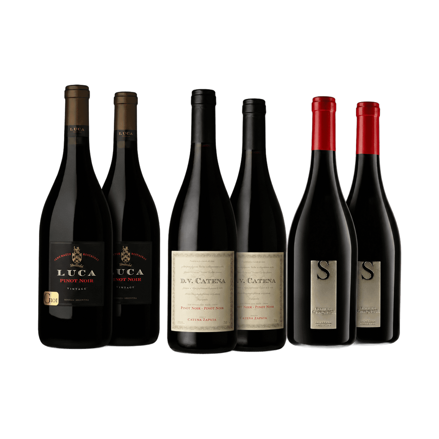 Selección Pinot Noir de Invierno