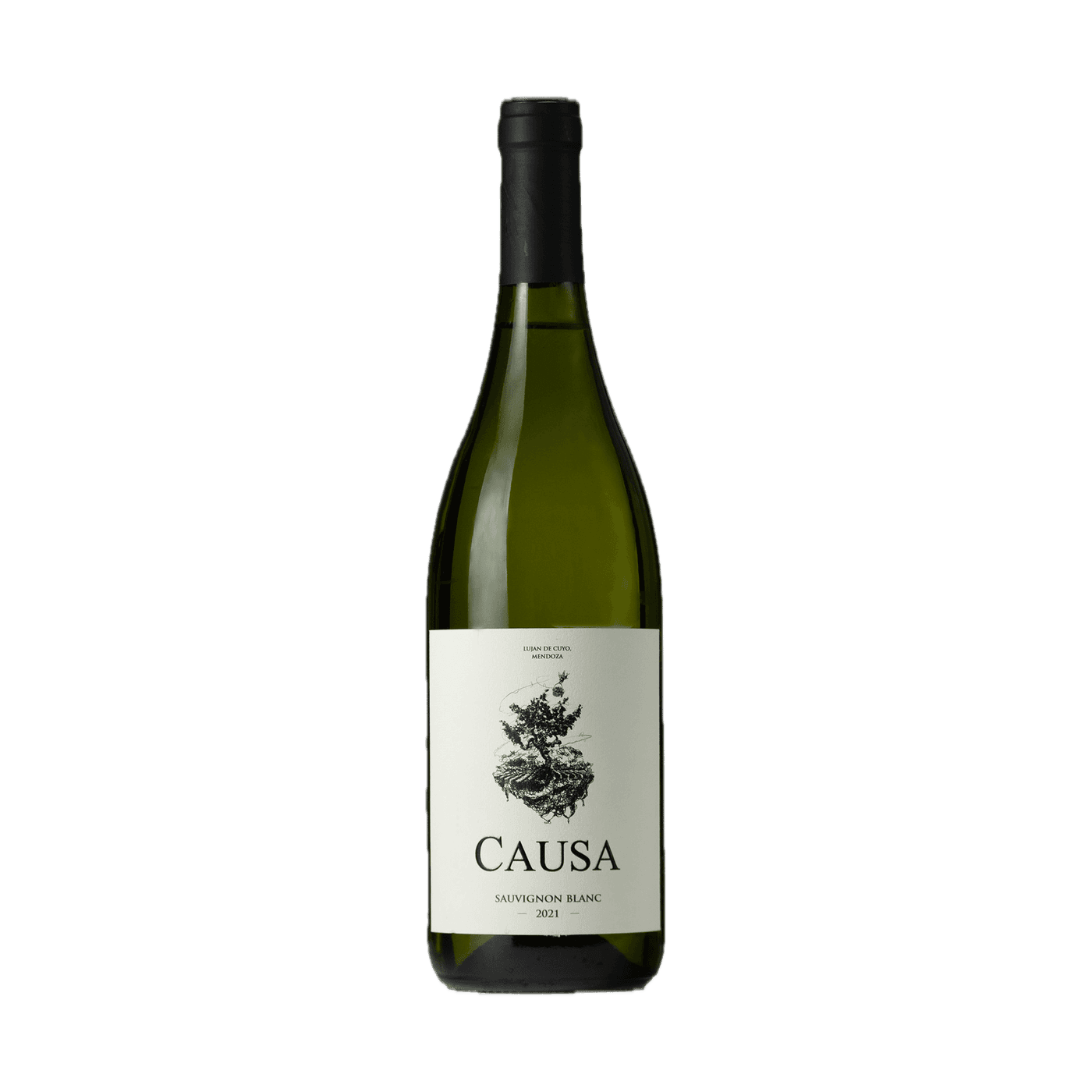 Causa Sauvignon Blanc 2021