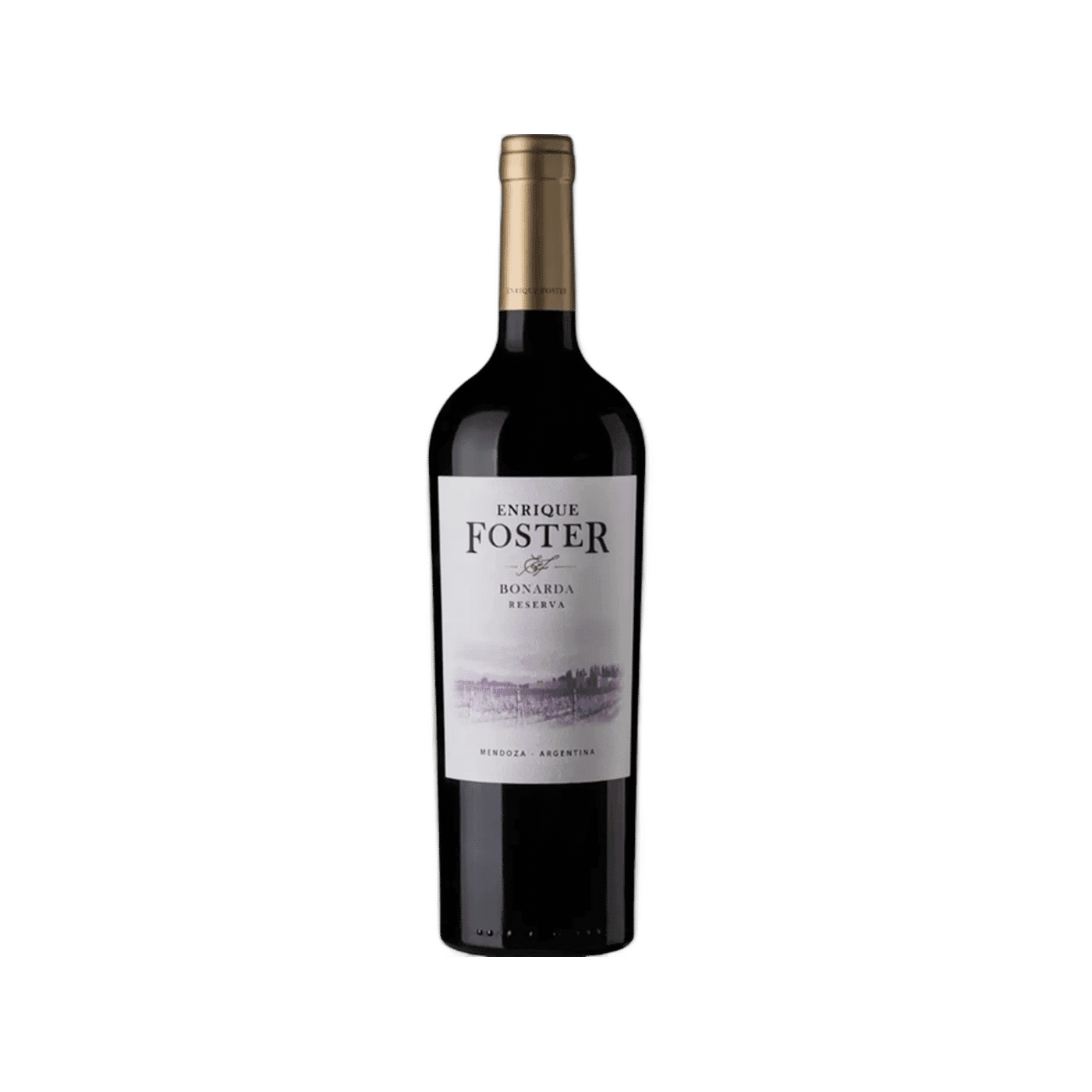 Enrique Foster Reserva Bonarda 2021