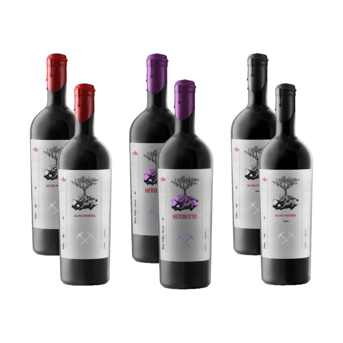 Selección Alma Minera