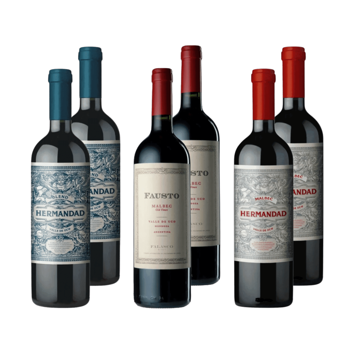 Selección Familia Falasco