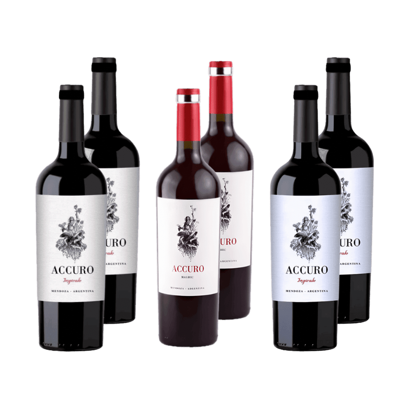 Selección Accuro Wines
