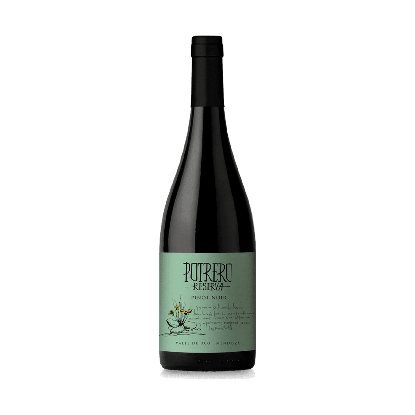 Reserva de Potrero Pinot Noir 2022