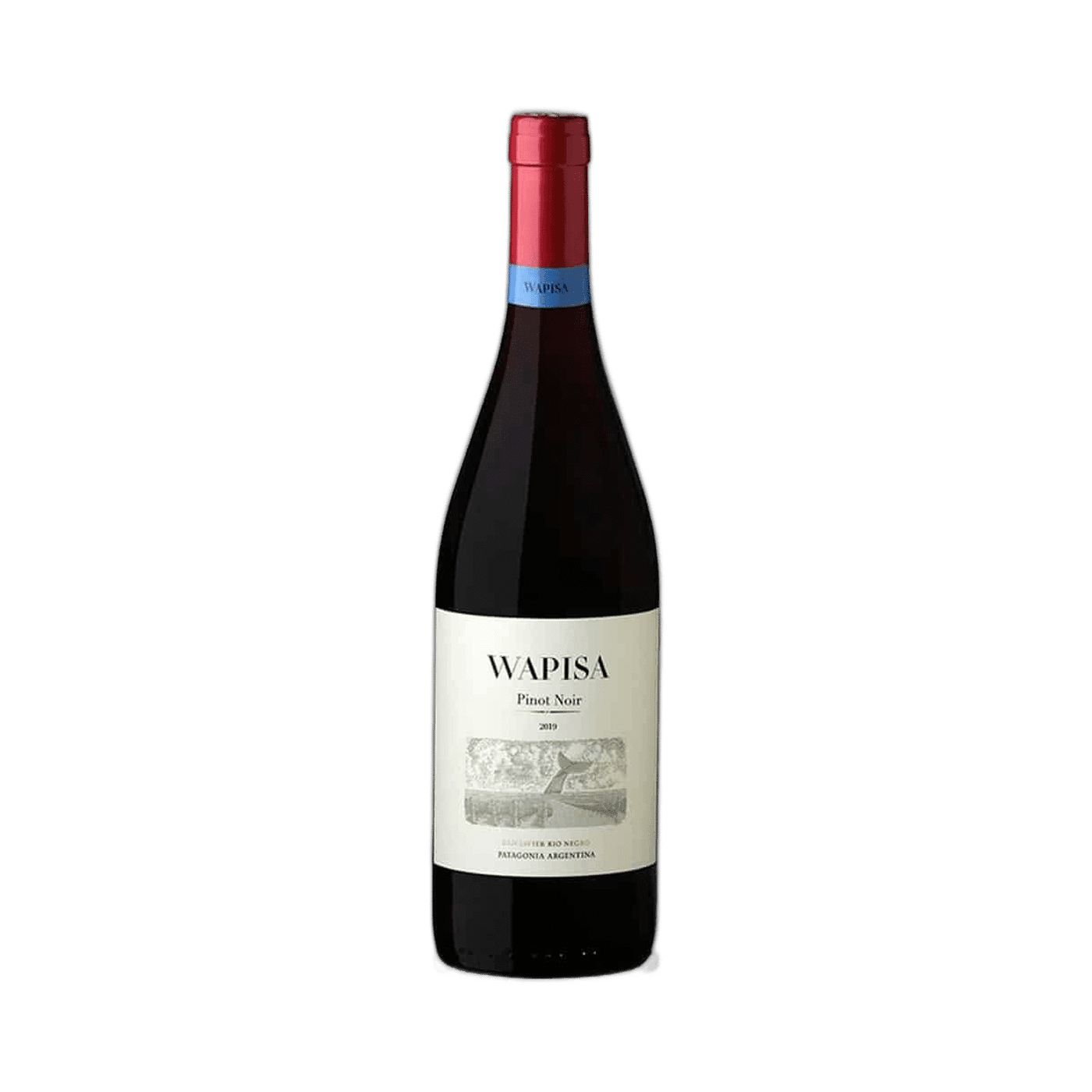 Wapisa Pinot Noir 2024