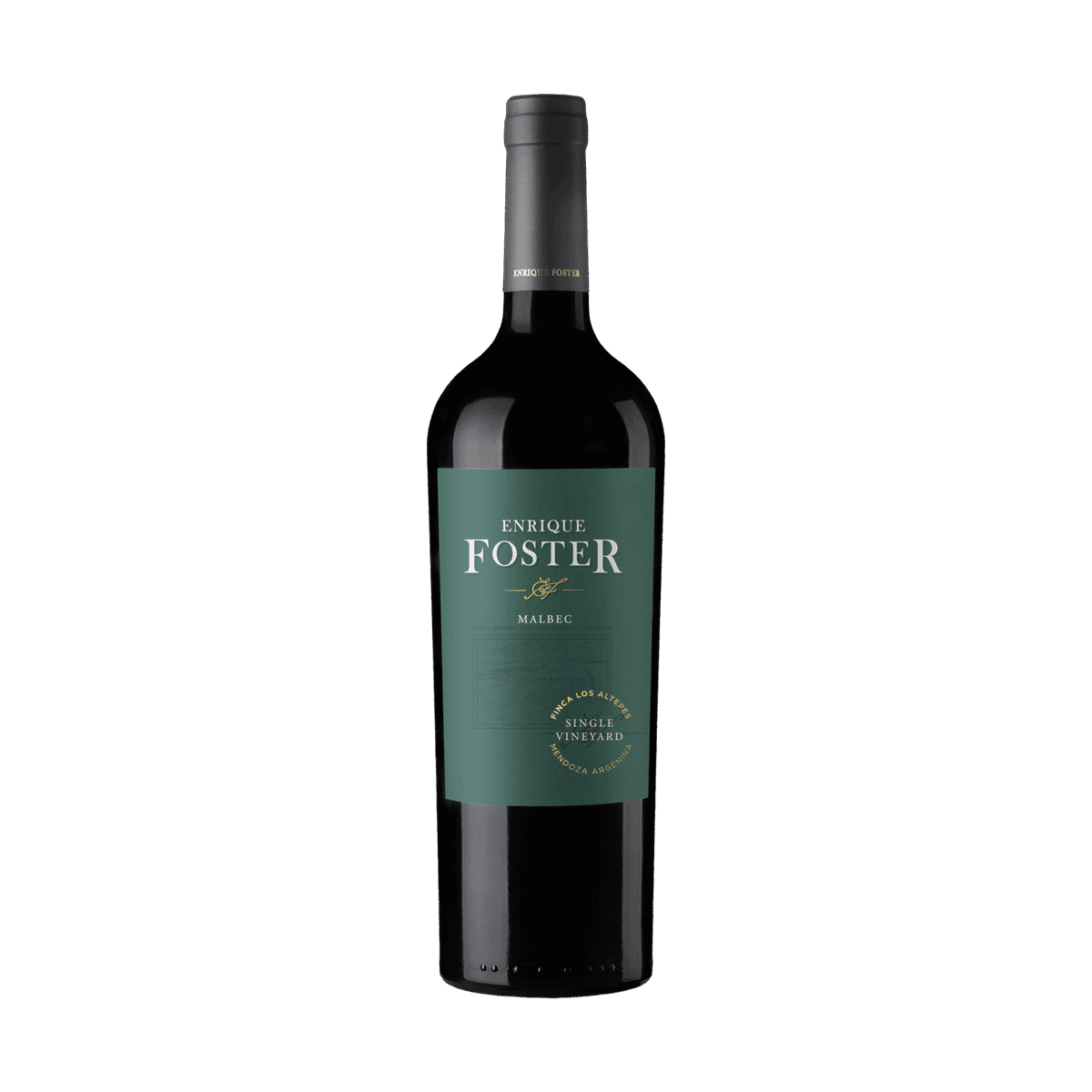 Enrique Foster Single Vineyard Los Altepes 2023