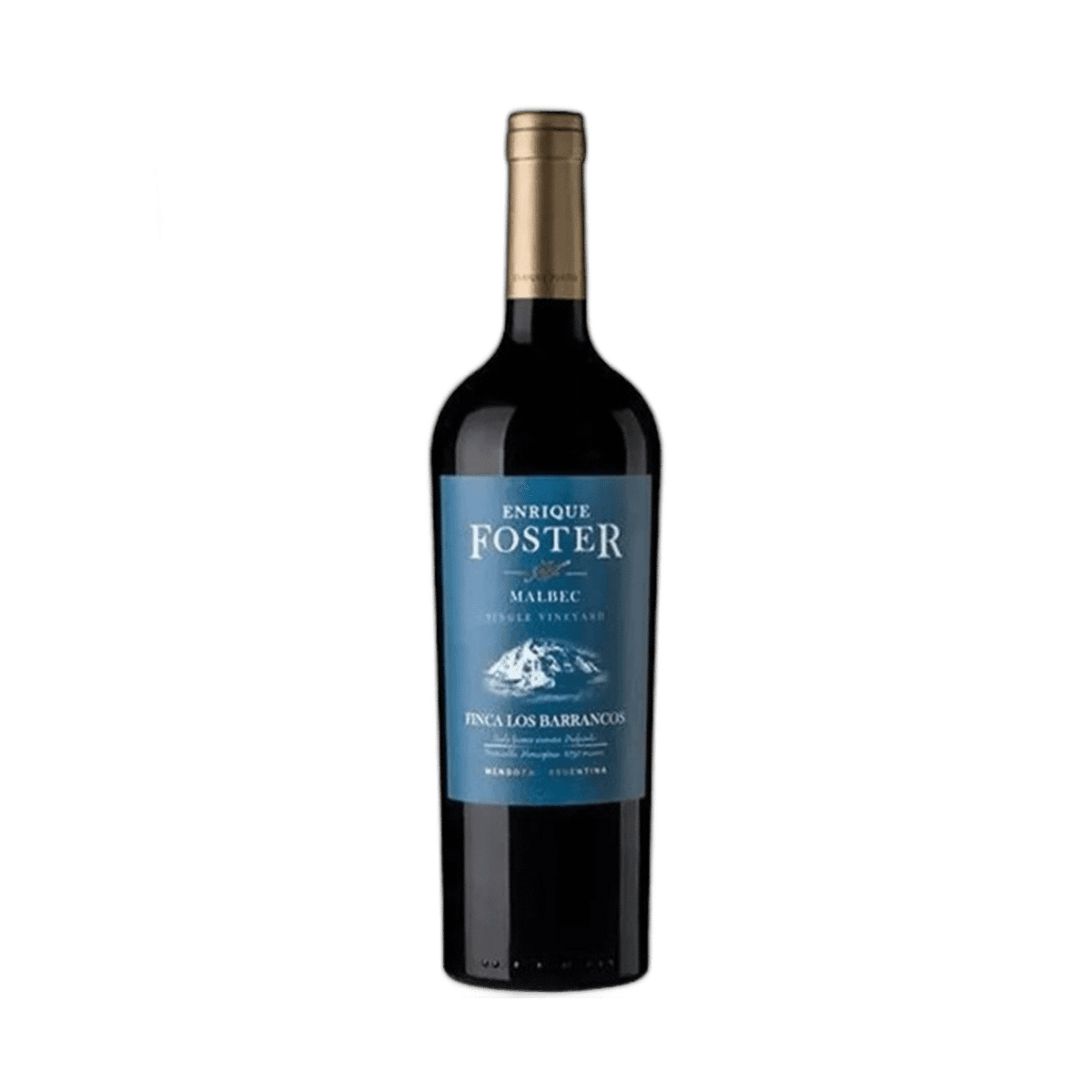 Enrique Foster Single Vineyard Los Barrancos 2023