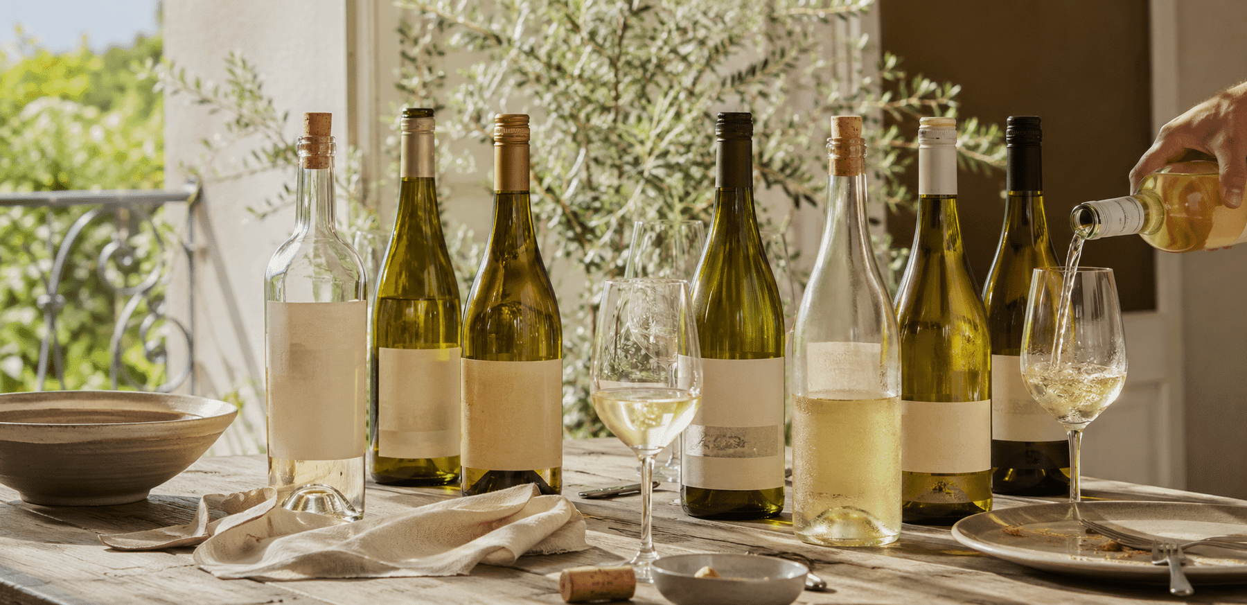 Vinos Blancos