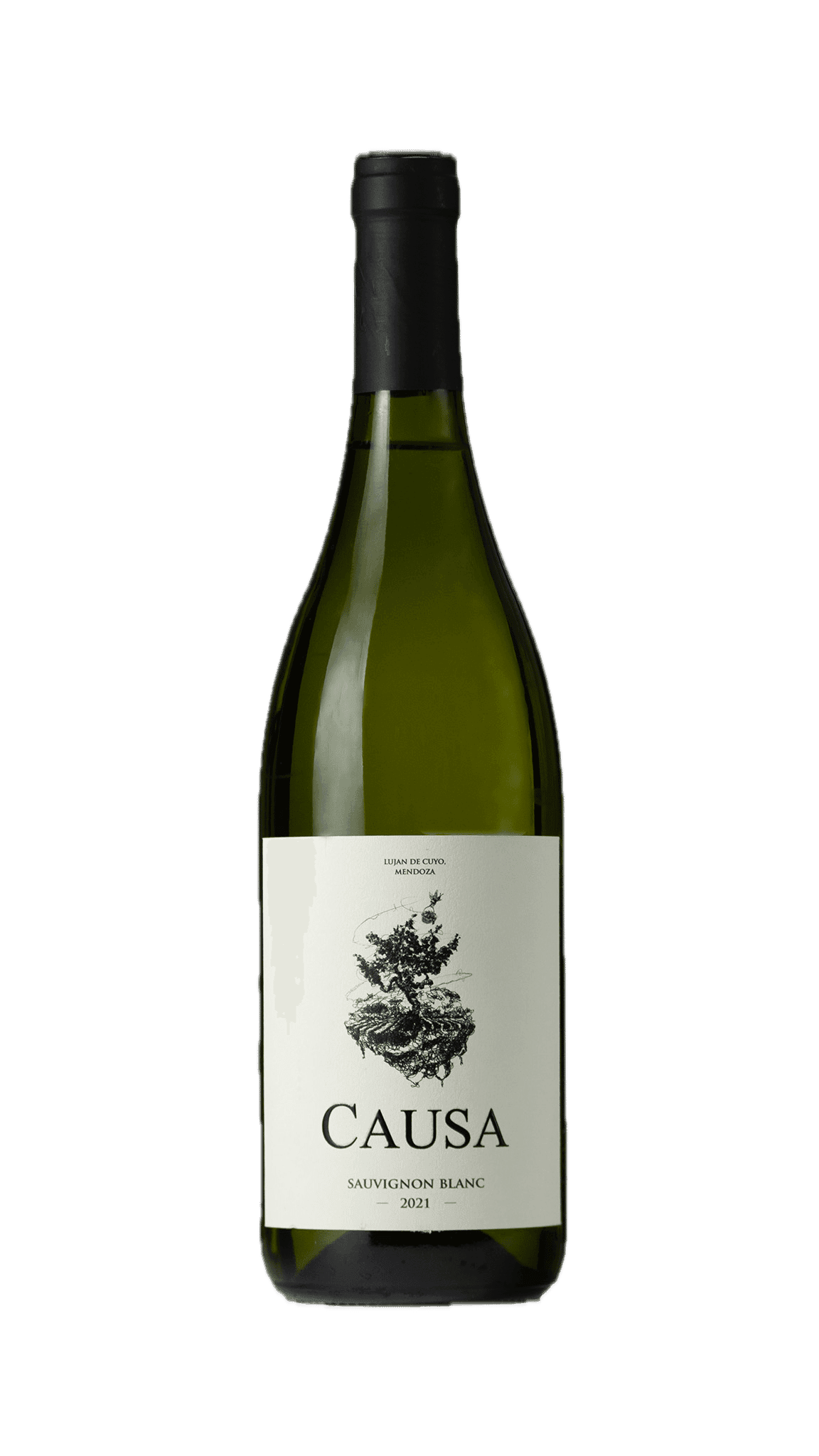 Causa Sauvignon Blanc 2021