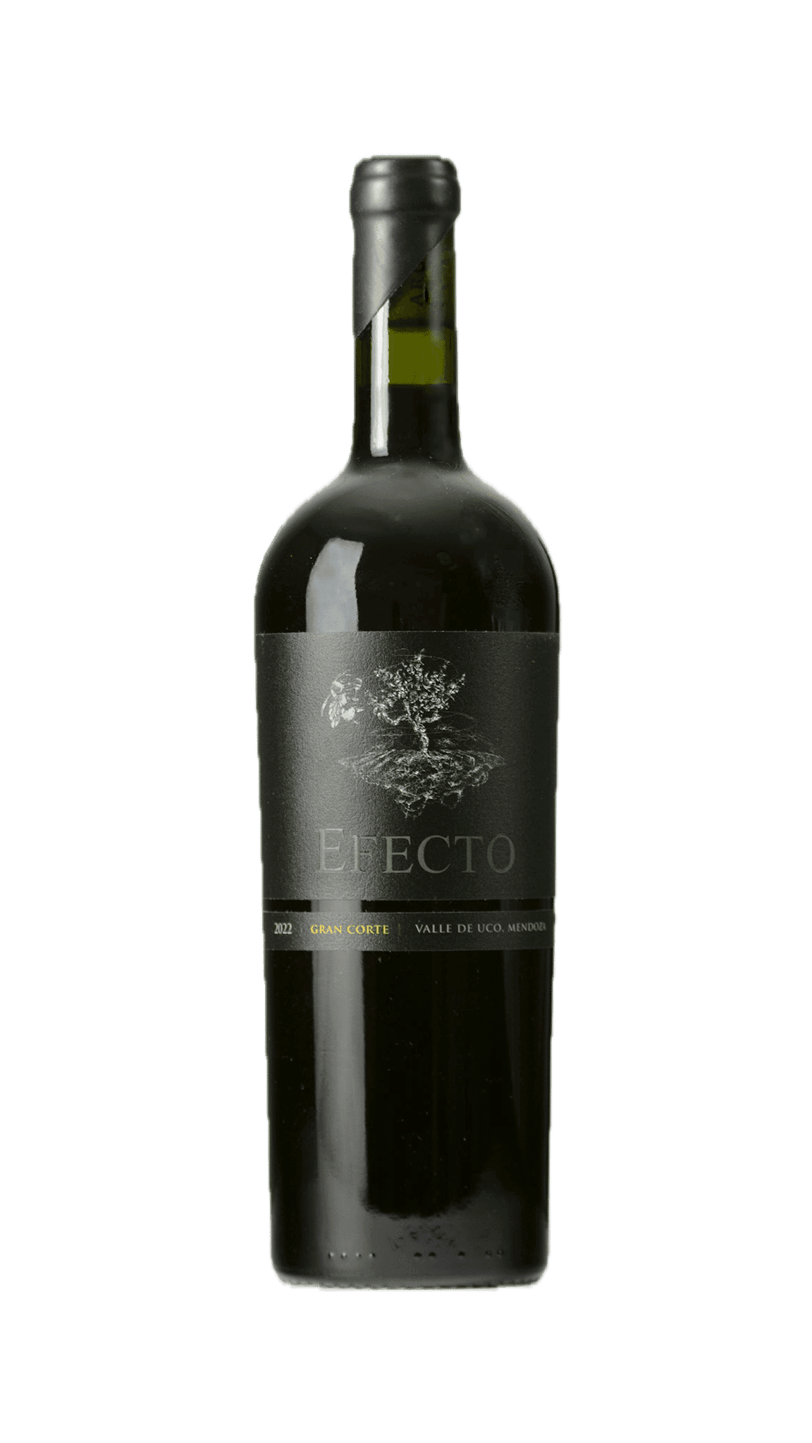 Efecto Gran Corte 2022