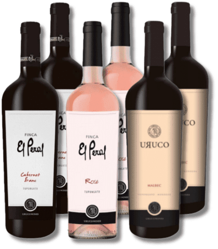 Caja Descubiertas Uruco Wines