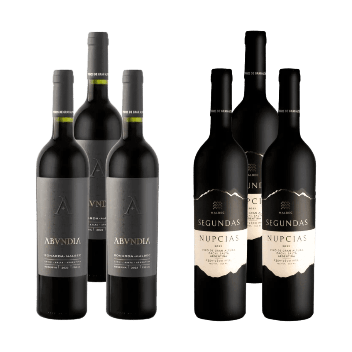 Selección Nueve Cumbres - Altura Extrema