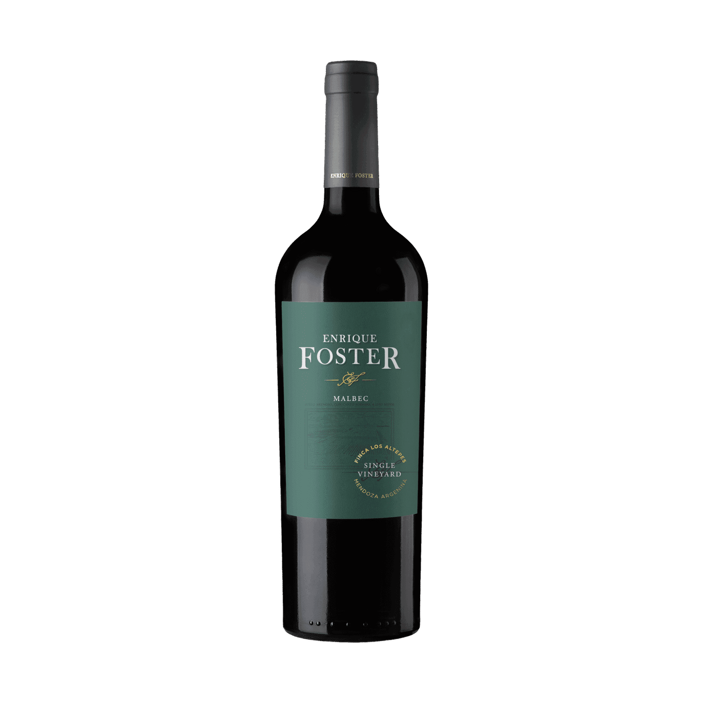 Enrique Foster Single Vineyard Los Altepes 2021