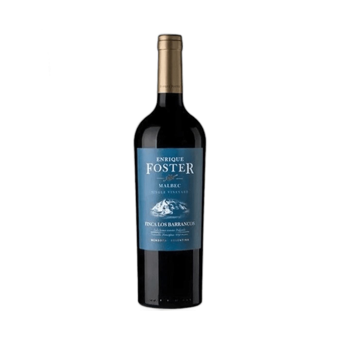Enrique Foster Single Vineyard Los Barrancos 2023