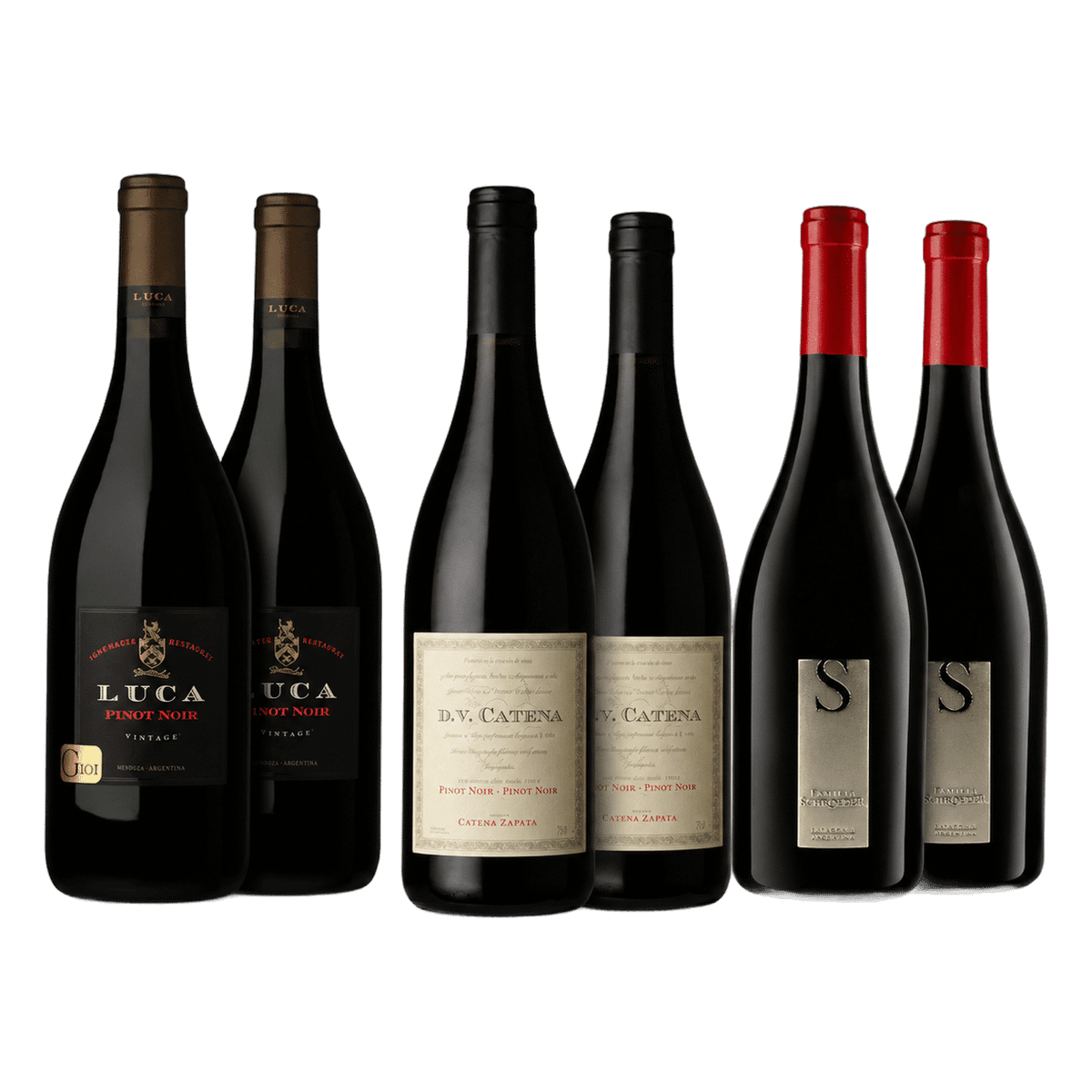 Selección Pinot Noir de Invierno