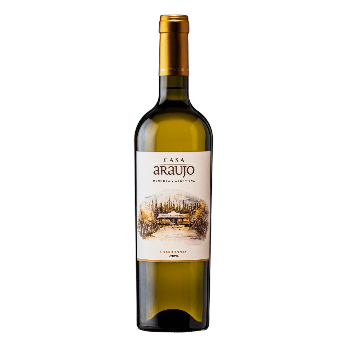 Casa Araujo Chardonnay 2022