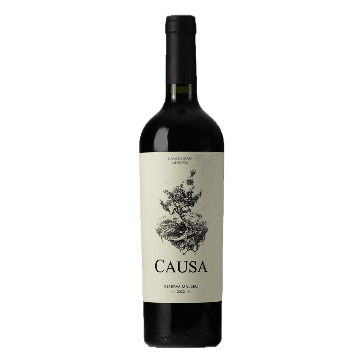 Causa Malbec 2022