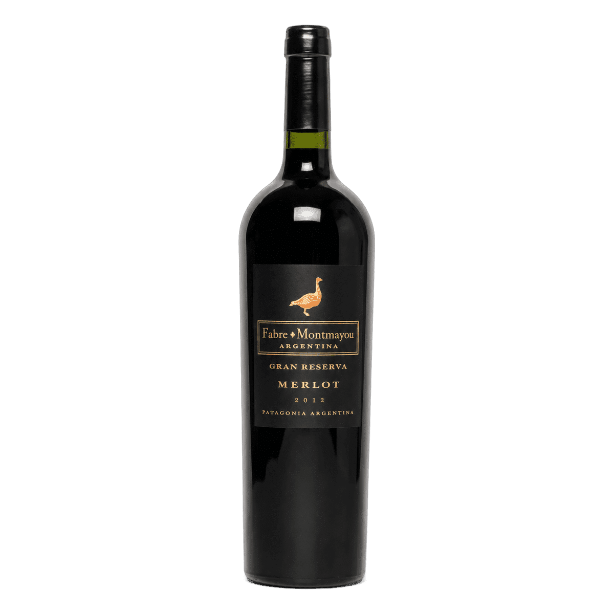 Infinitus Gran Reserva Merlot - Patagonia Argentina