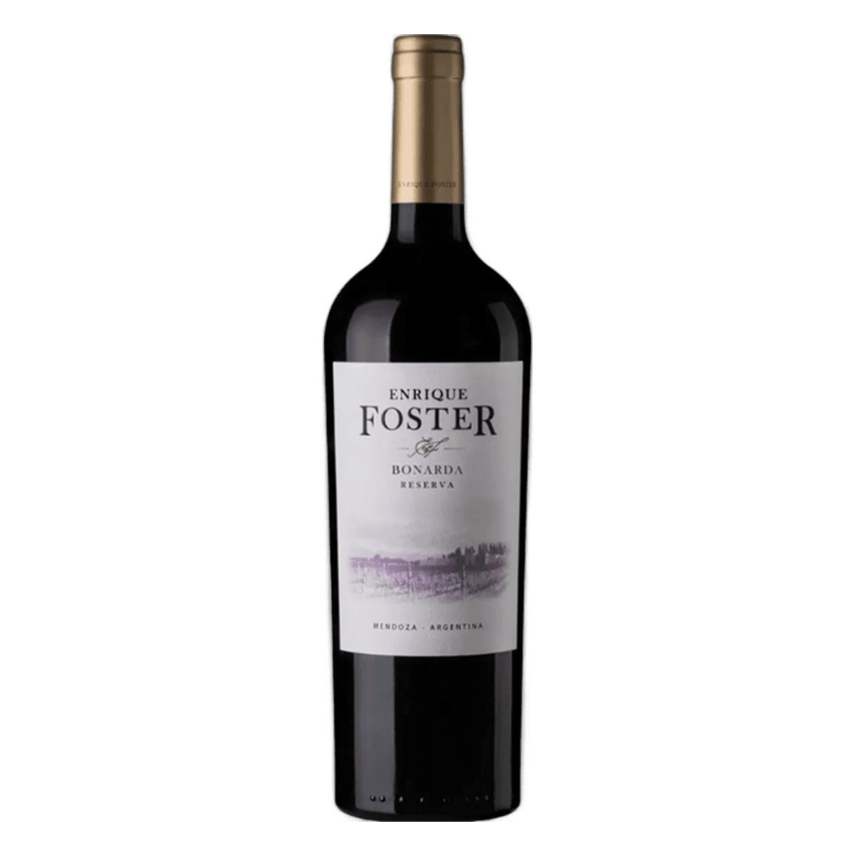 Enrique Foster Reserva Bonarda 2021