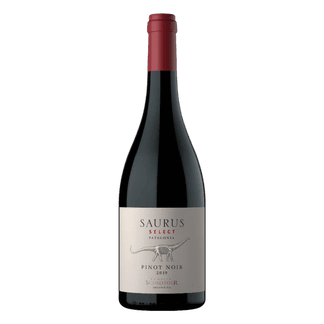 Saurus Select Pinot Noir - Patagónia Argentina