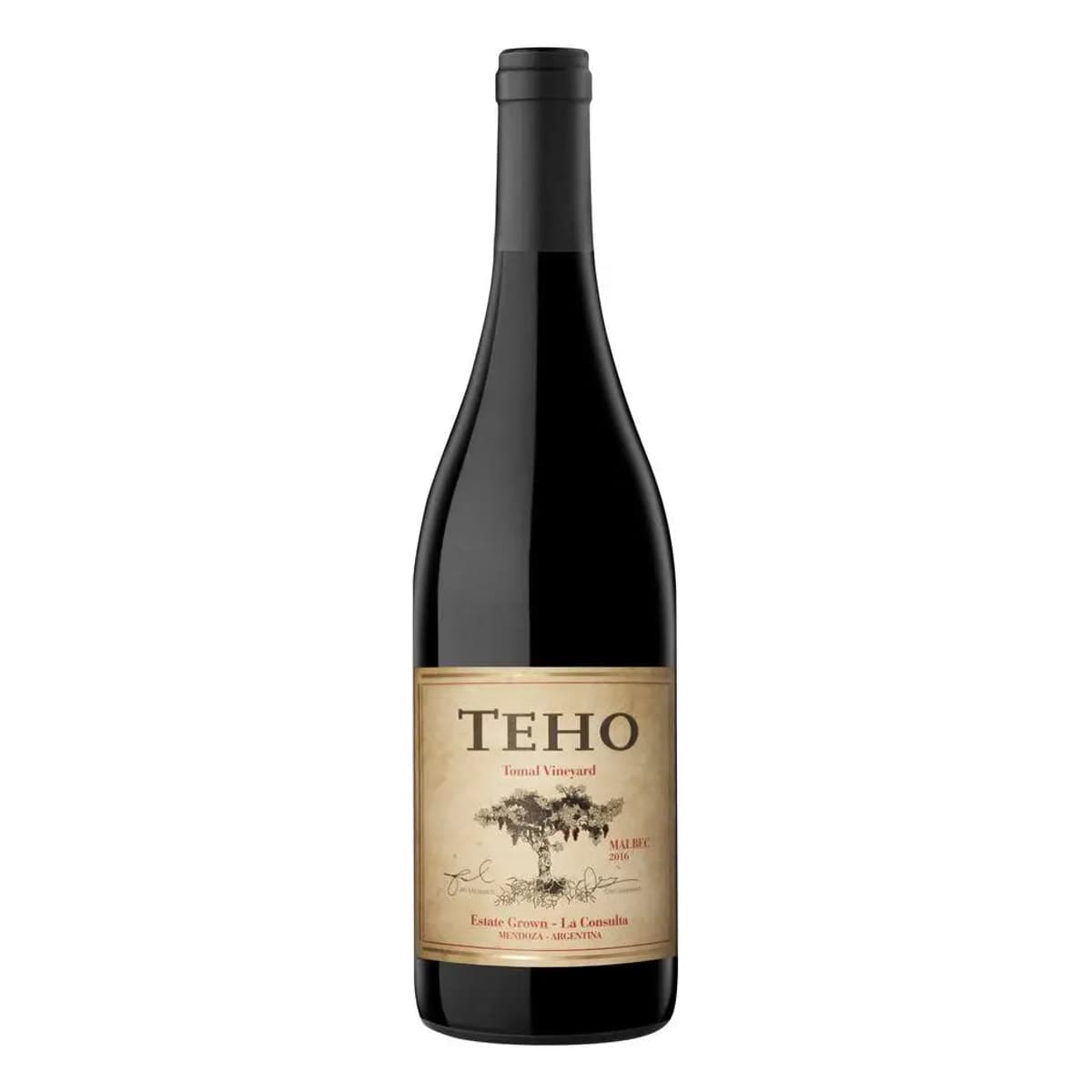 Teho Malbec 2021