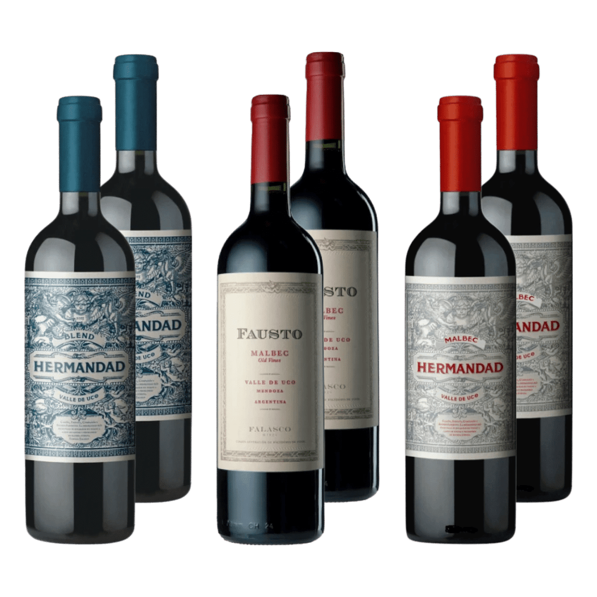 Selección Familia Falasco