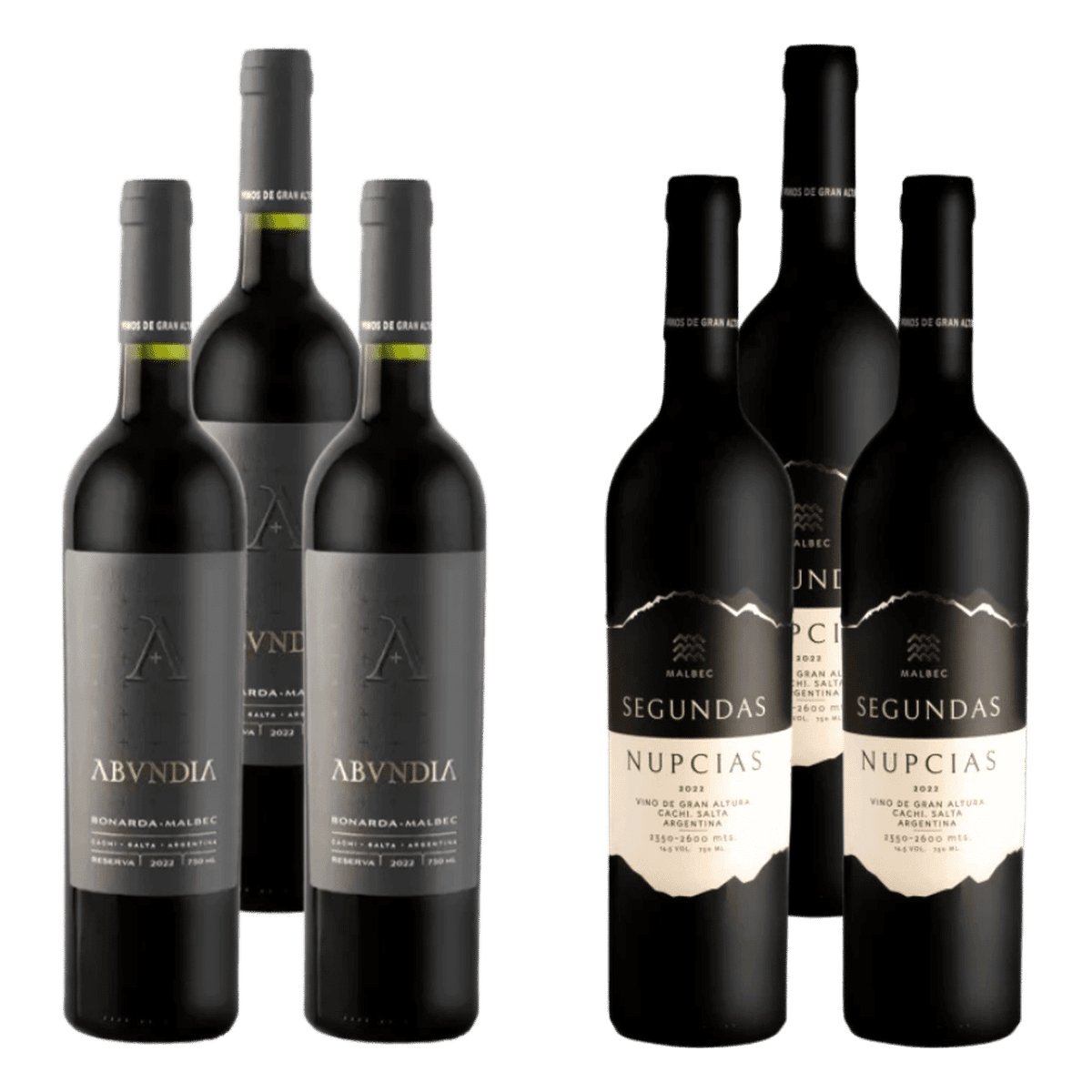 Selección Nueve Cumbres - Altura Extrema