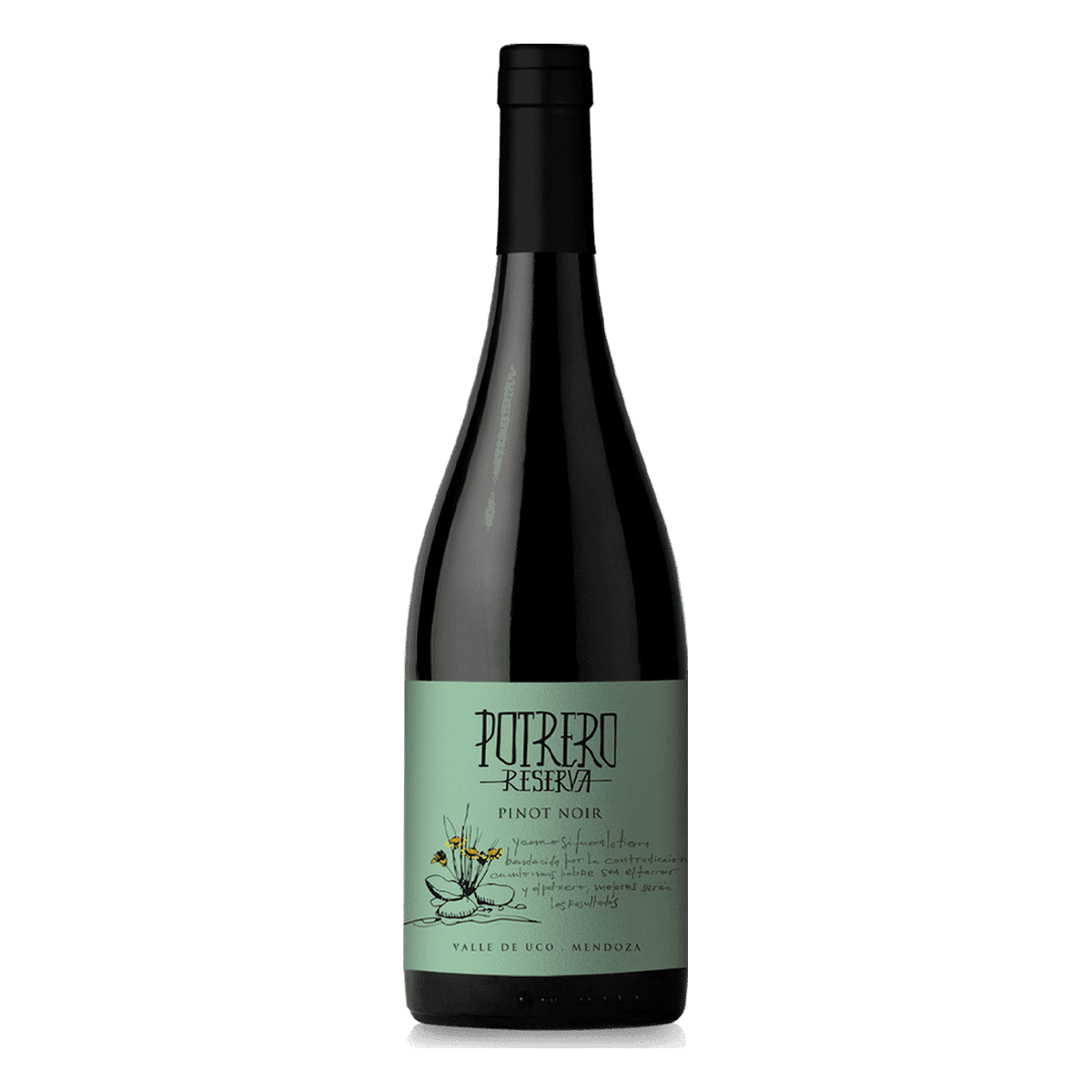 Reserva de Potrero Pinot Noir 2022