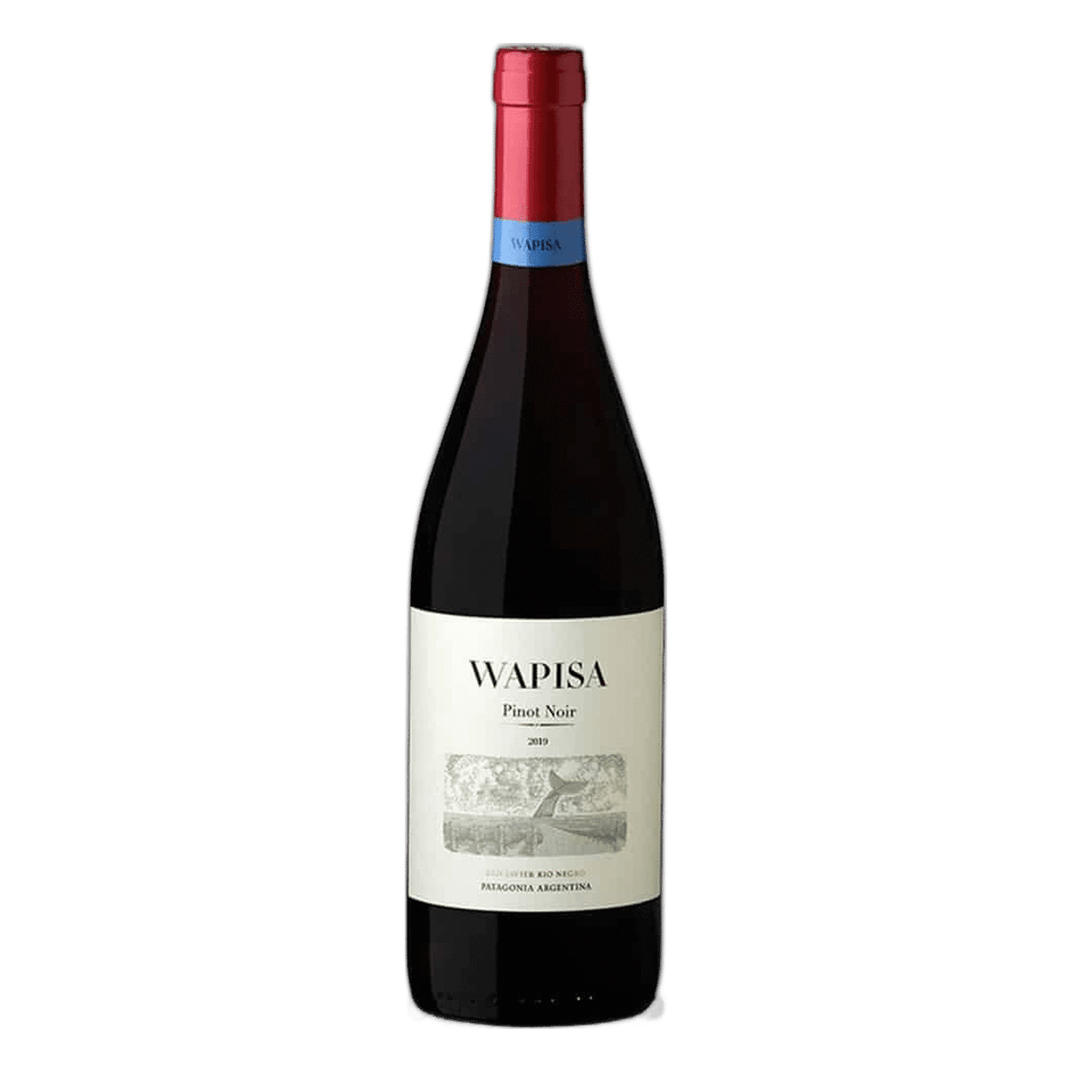 Wapisa Pinot Noir 2024