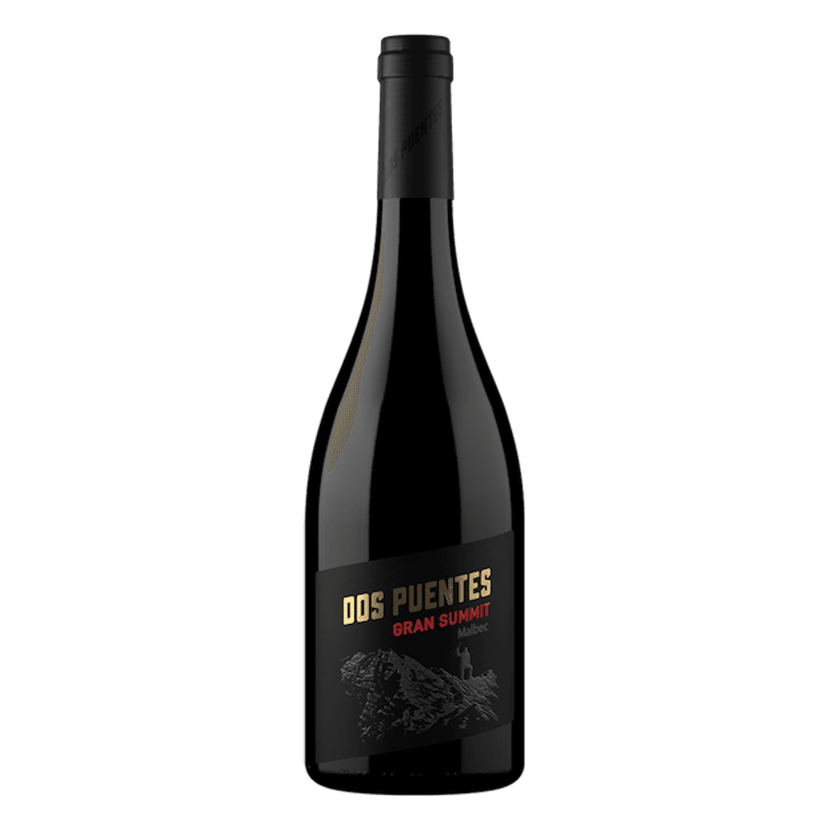 Dos Puentes Gran Summit Malbec 2020