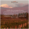 viñalba torrontes port 2