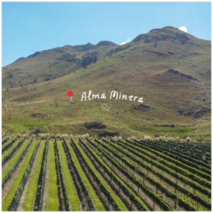 bodega alma minera portada3