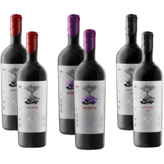 Vinos Tintos Selección Alma Minera