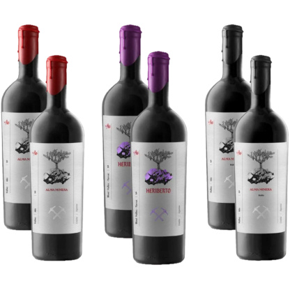 Vinos Tintos Selección Alma Minera