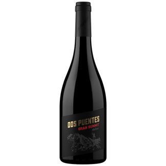 Dos Puentes Gran Summit Malbec 2020