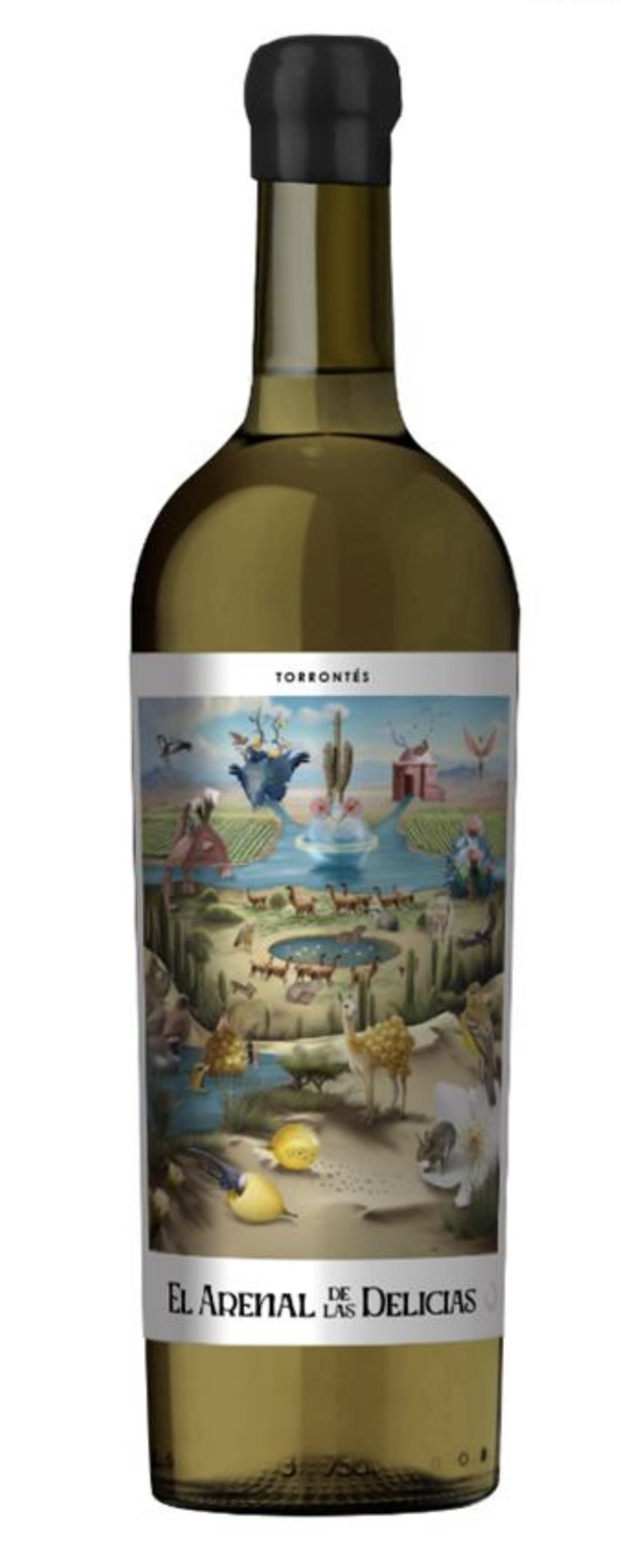 Obra de la Montaña El Arenal de las Delicias 2025